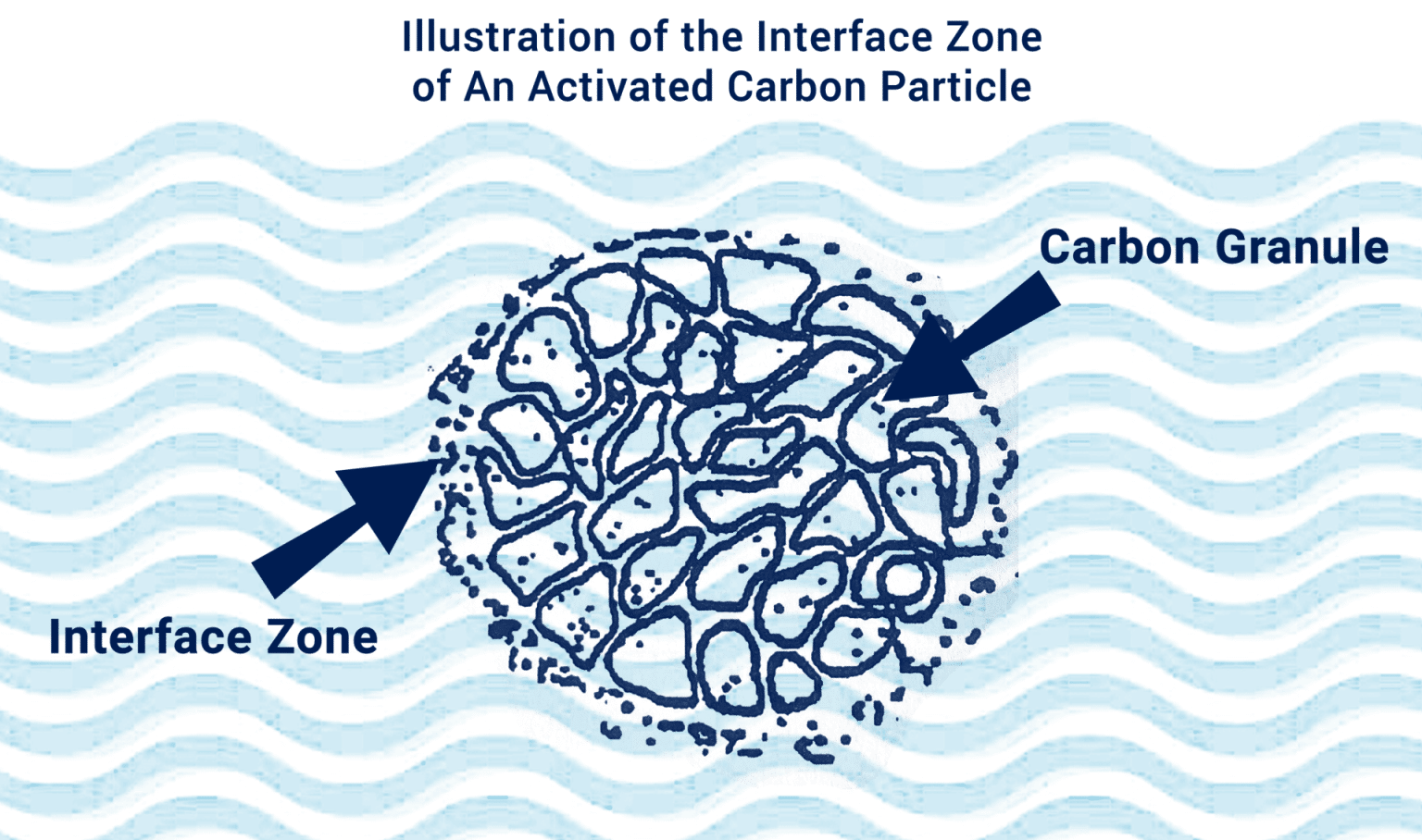 The Adsorption Process CWS