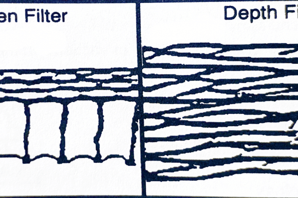 screen filter, depth filter, filtration prcoesses